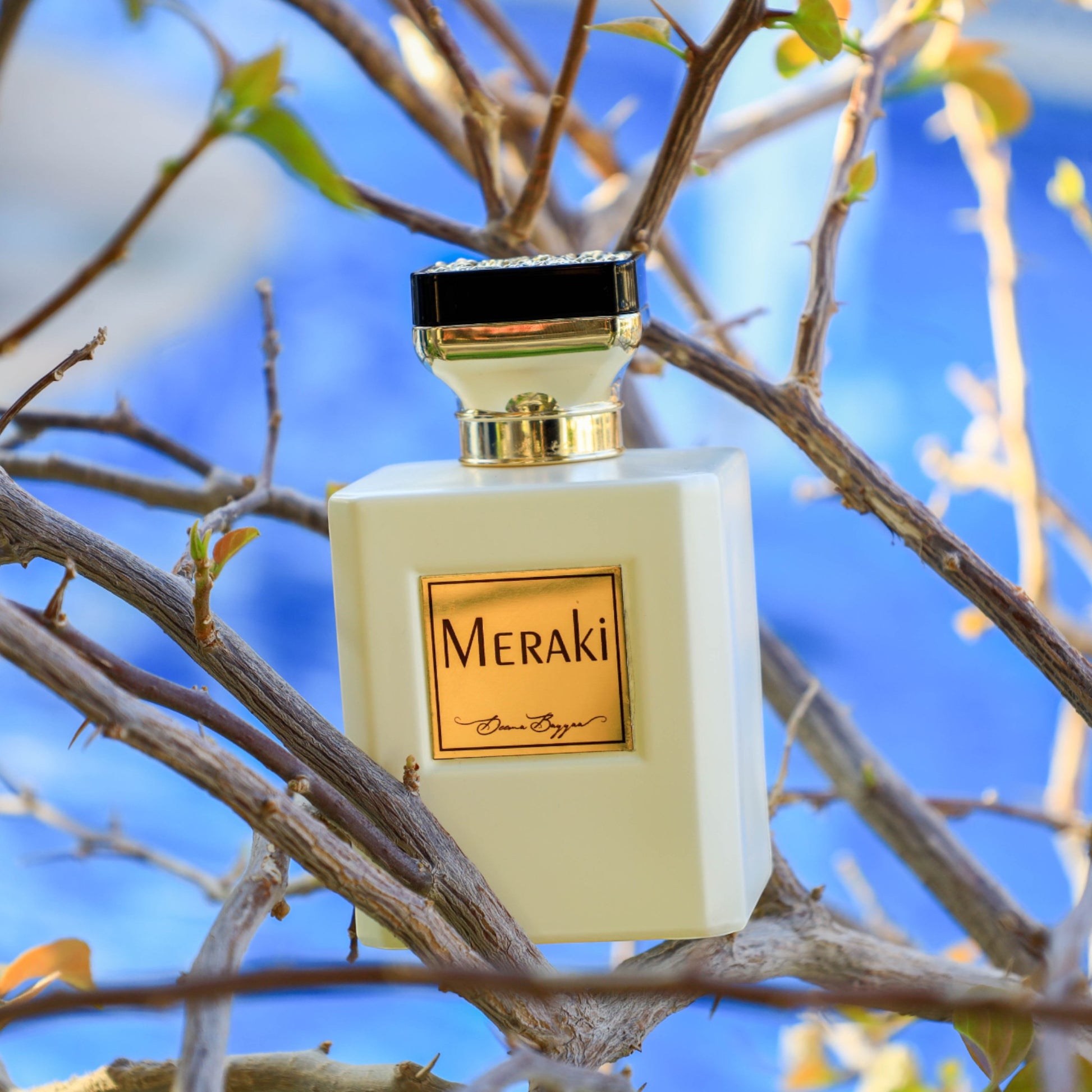 MERAKI by Deema Bayyaa – Velvet Oudh Extrait de Parfum 100 ml SOFT - Kemberly® GmbH