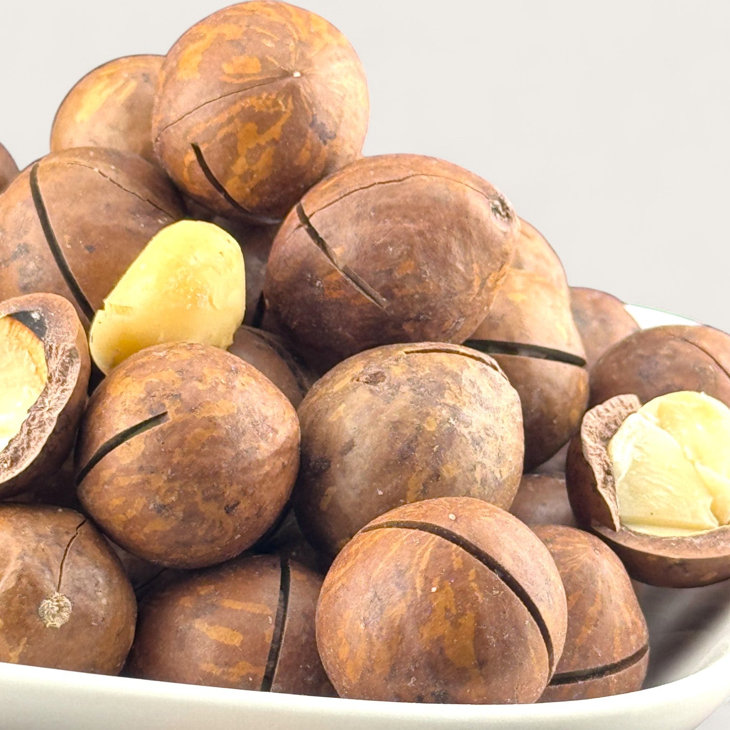 Macadamianüsse in Schale – Geröstet & gesalzen | Mit Öffner | 500 g - Kemberly® GmbH