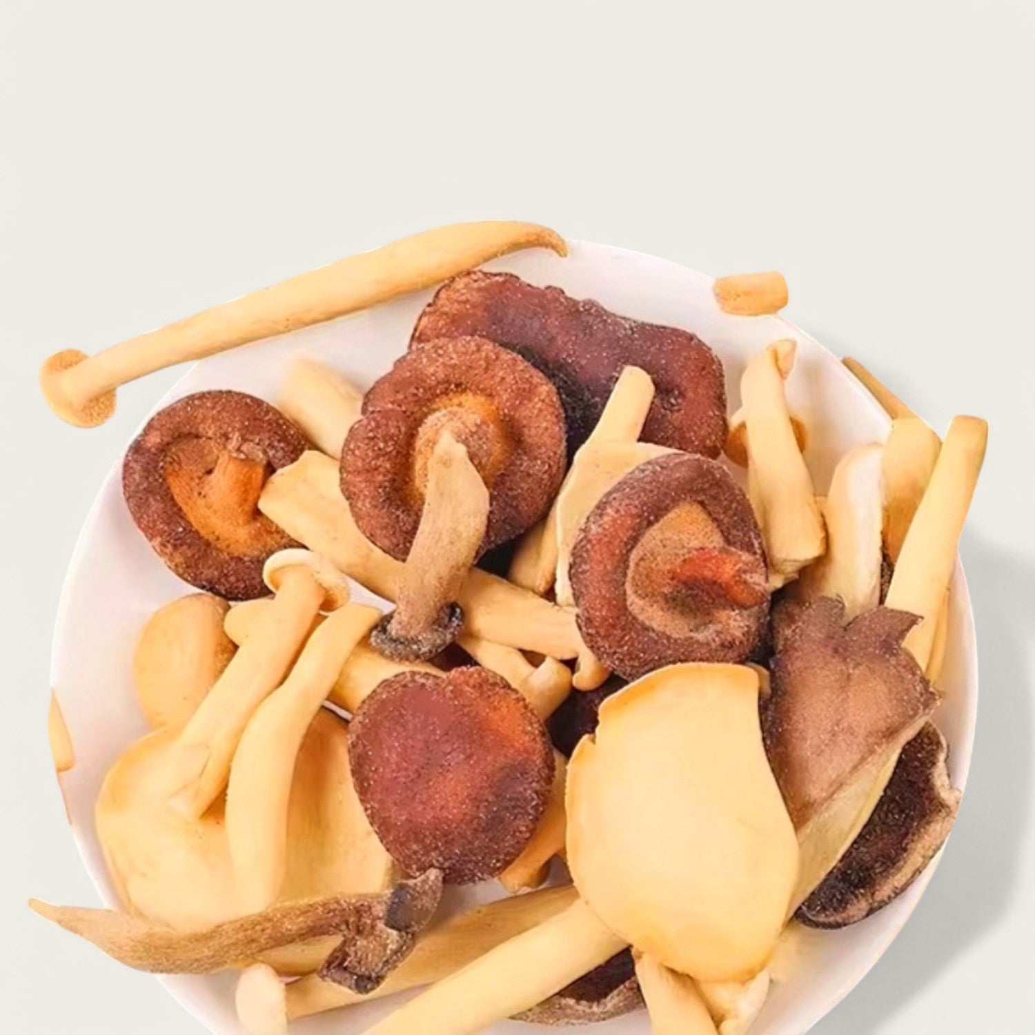 Pilz Knuspriger Snack Mix – Herzhaft, Knusprig & Natürlich! - Kemberly® GmbH