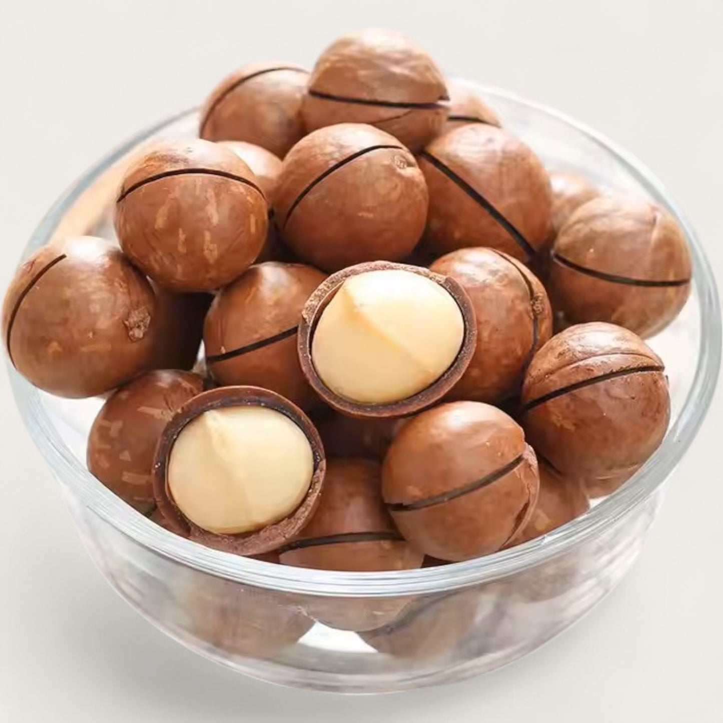 Macadamianüsse in Schale – Geröstet & gesalzen | Mit Öffner | 500 g - Kemberly® GmbH