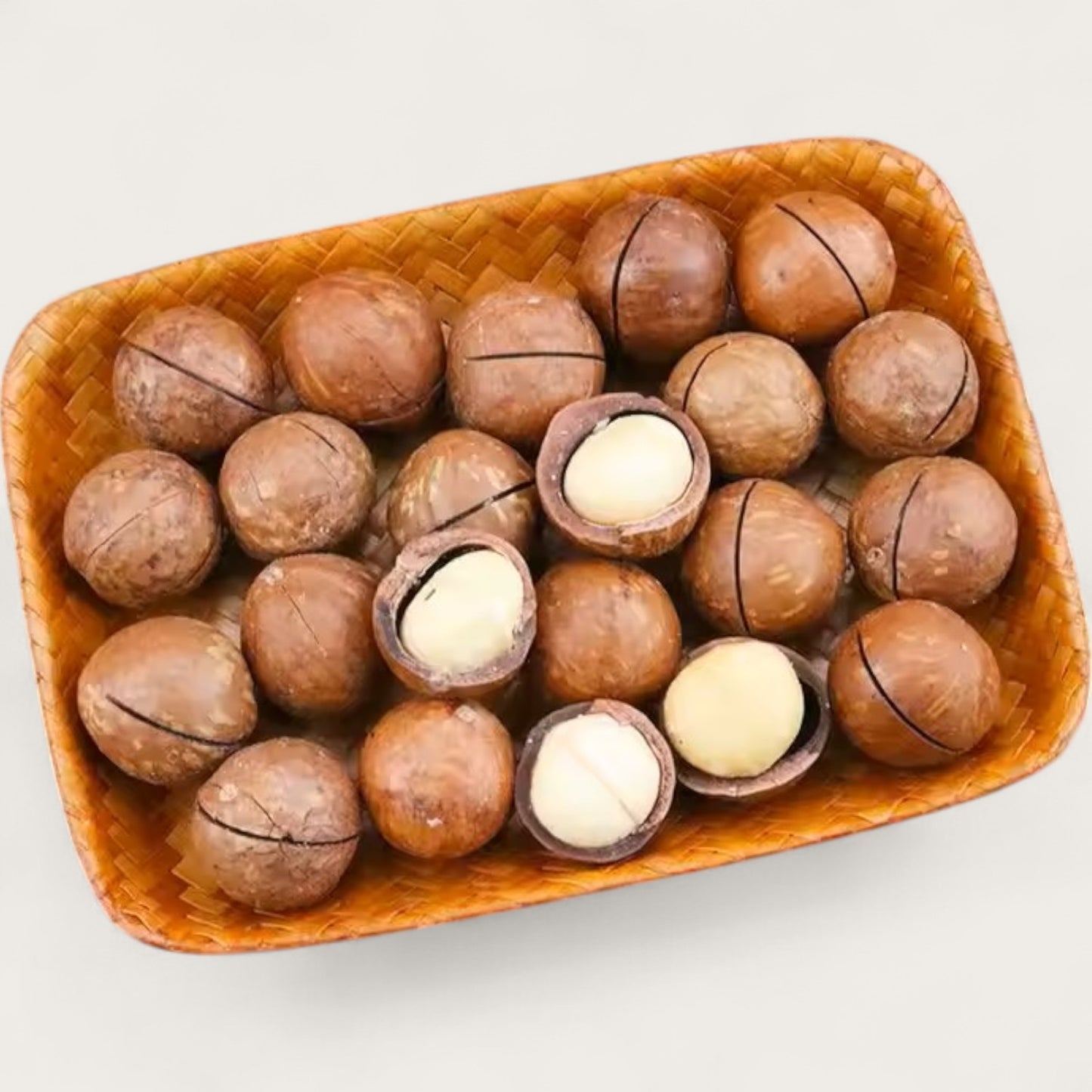 Macadamianüsse in Schale – Geröstet & gesalzen | Mit Öffner | 500 g - Kemberly® GmbH