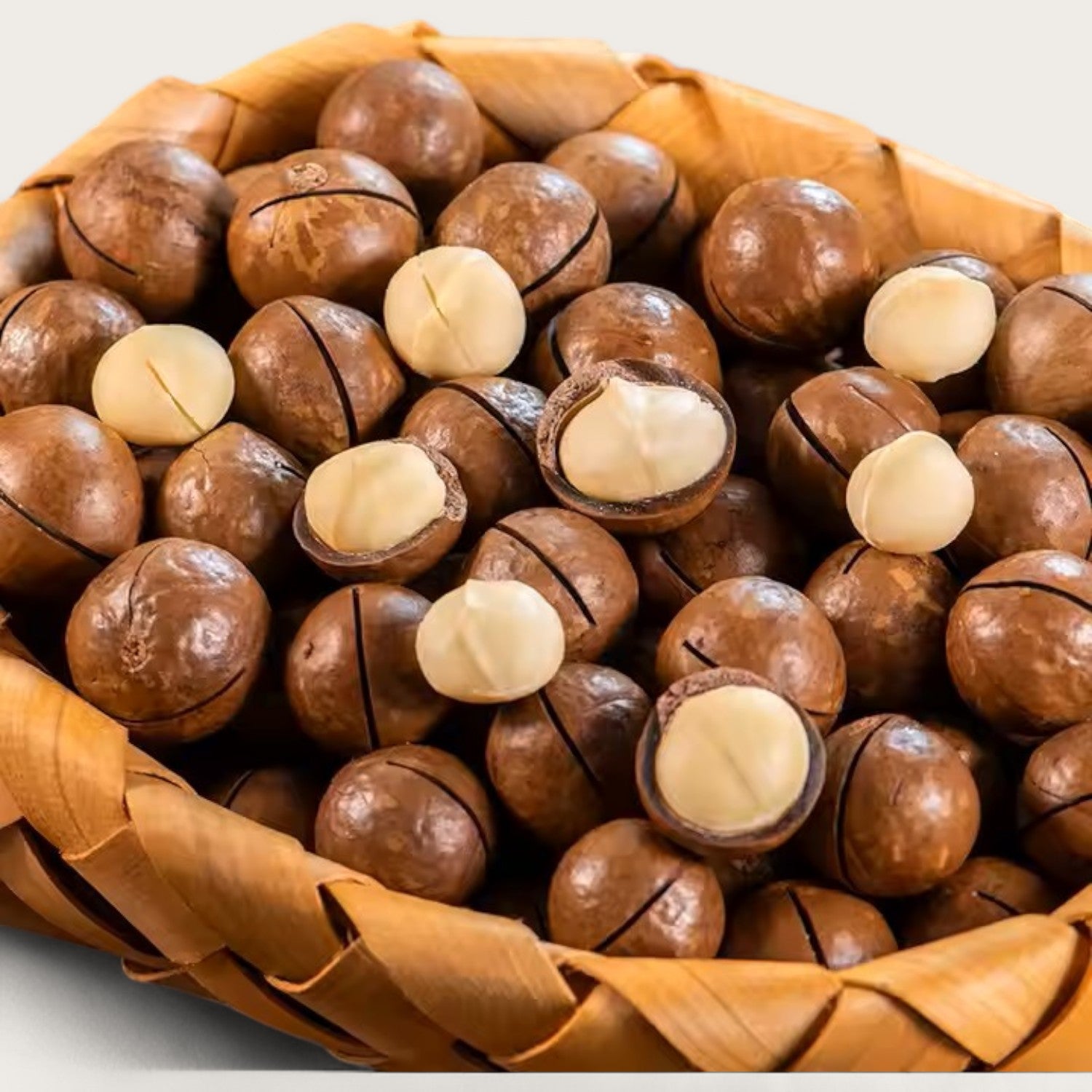 Macadamianüsse in Schale – Geröstet & gesalzen | Mit Öffner | 500 g - Kemberly® GmbH