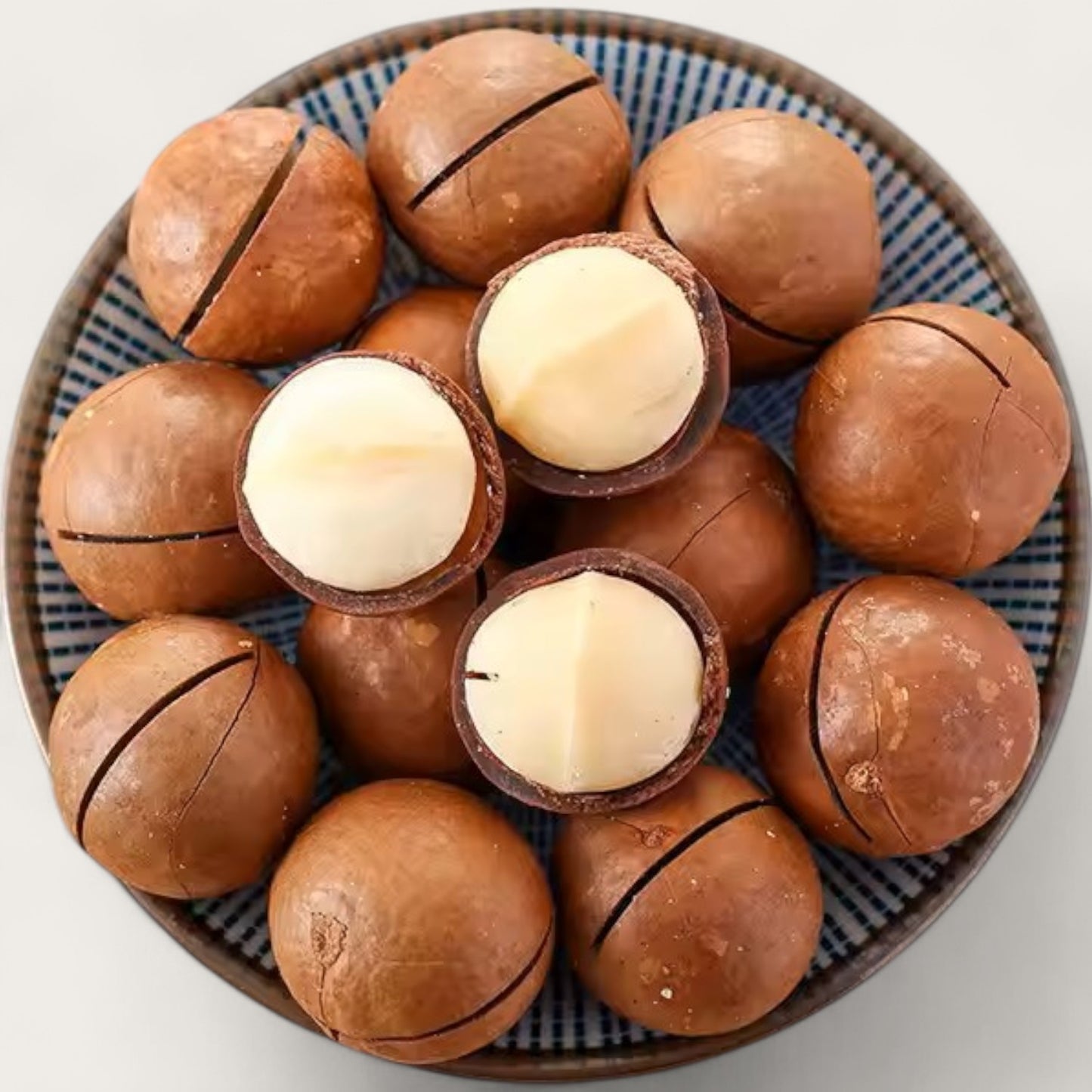 Macadamianüsse in Schale – Geröstet & gesalzen | Mit Öffner | 500 g - Kemberly® GmbH